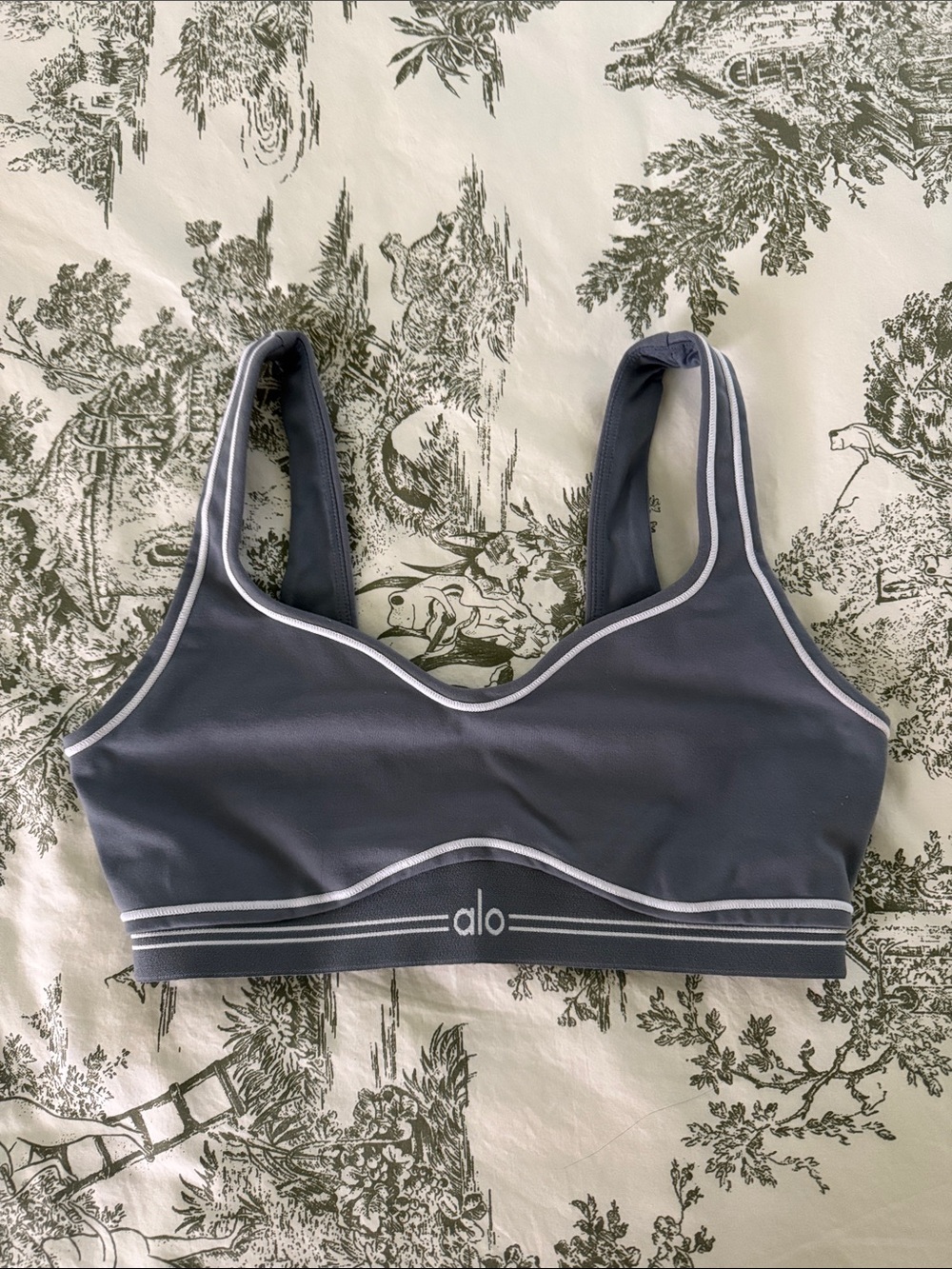 alo Airbrush Heart Throb Bra Steel Grey